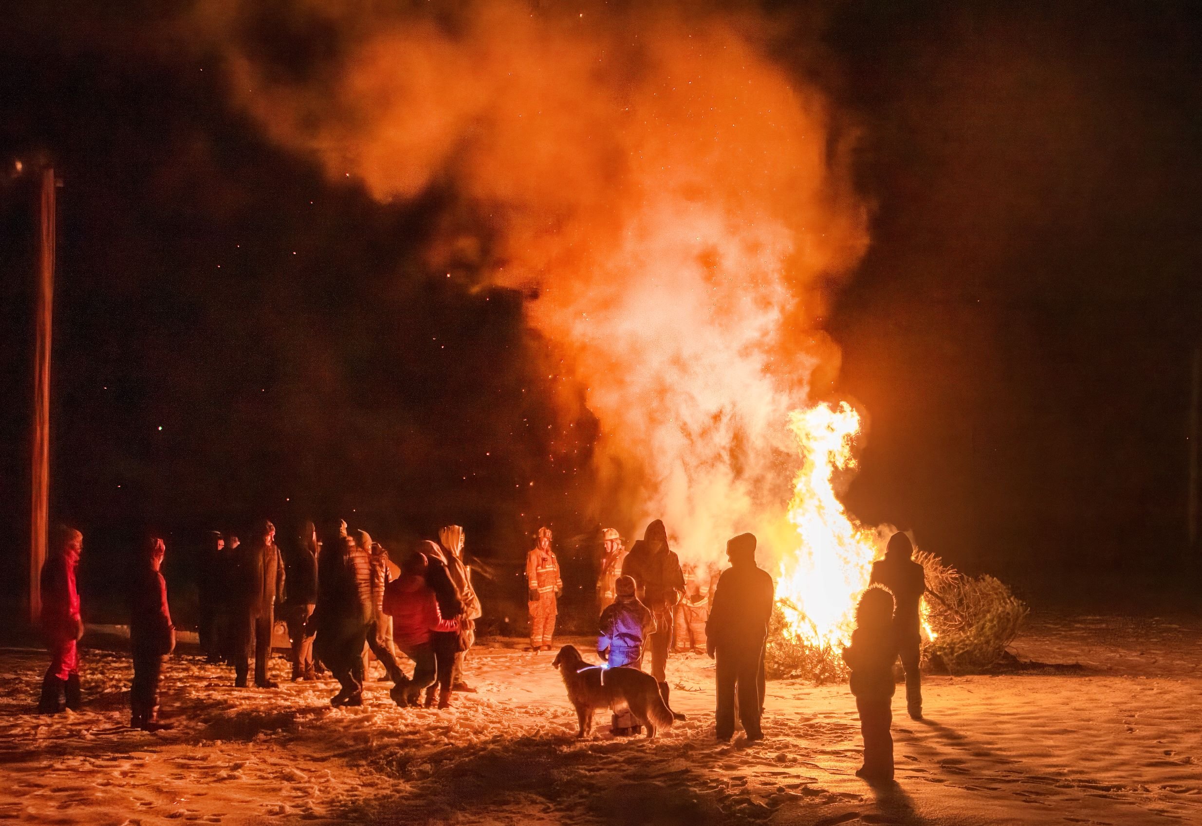 Christmas tree bonfire | Jan. 14 — Waterbury Roundabout